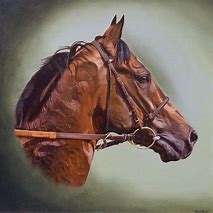 Image result for Thoroughbred Horse Paintings