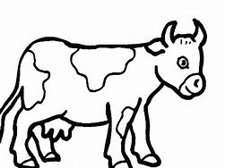 Image result for Cow Coloring Pages Printable
