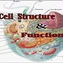 Image result for Cellular Structure