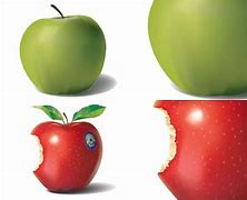 Image result for 2D Apple Vector