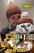 Image result for Ladies Cat Meme