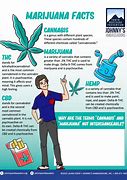 Image result for Marijuana Facts