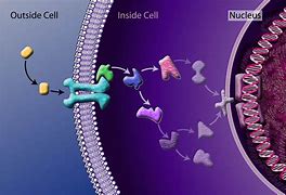 Image result for Lead Acid Storage Cell