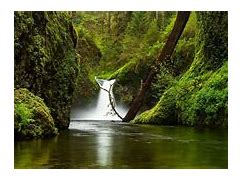 Image result for Panoramic Stream Photography
