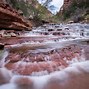 Image result for co_to_znaczy_zion_national_monument