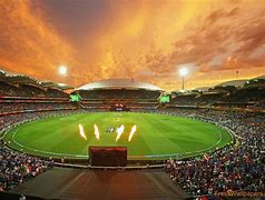 Image result for Back Yard Cricket Stadium Australia
