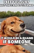Image result for Hilarious Dog Memes Clean