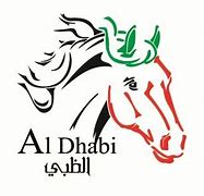 Image result for Dubai Horse Racing Logo