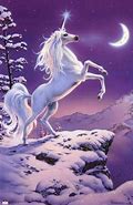 Image result for Unicorn Black Stallion