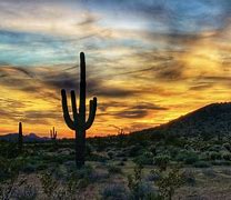 Image result for arizona desert sunset
