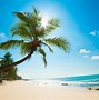 Image result for iOS 11 Beach Wallpaper