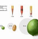 Image result for How Big Is 5 mm Tumor