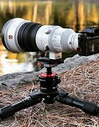 Image result for Best Sony Camera for Wildlife Photography