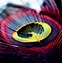 Image result for Peacock Wallpaper for Walls