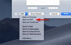 Image result for How to Save as a PDF On Mac