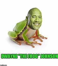 Image result for Frog Apple Meme