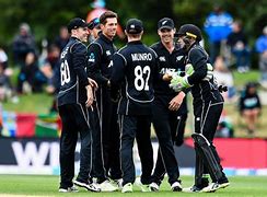 Image result for New Zealand Players of Cricket
