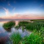 Image result for Summer Nature Photography