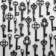 Image result for Looking for Keys