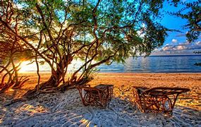 Image result for Free Screensavers Summer Scenes