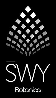 Image result for swy stock