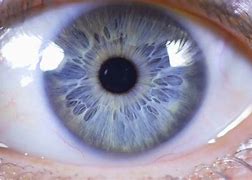 Image result for Pupila Dos Olhos