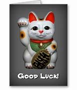 Image result for White Cat Good Luck Meme