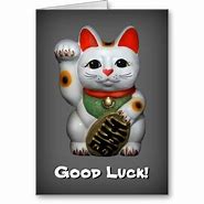 Image result for Funny Cat Good Luck