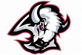 Image result for Buffalo Sabres Logo