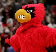 Image result for Louiville Mascot