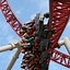 Image result for Maverick Roller Coaster