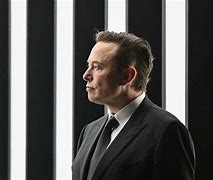 Image result for Is Elon Musk the Richest Man