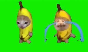 Image result for Banana Costume Campaign Meme