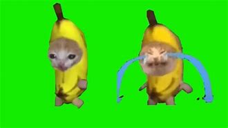 Image result for Evil Banana Meme