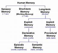 Image result for Short-Term Memory Model