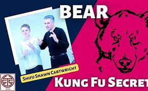Image result for Kung Fu Animal Style Music