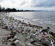 Image result for Dirty Beach with Rocks