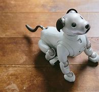 Image result for White Robot Dog
