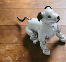 Image result for Sony Aibo Robot Dog Toys
