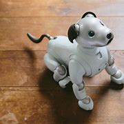 Image result for domestic robotic pet