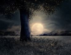 Image result for Good Night Scenery