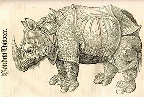 Image result for Medieval Bestiary Rhinoceros