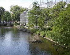 Image result for Amsterdam Botanical Garden