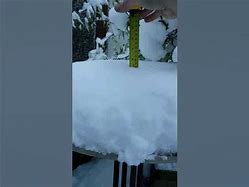 Image result for Eight Inches of Snow