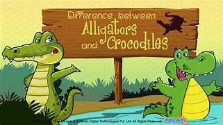 Image result for Alligator Facts Print Out