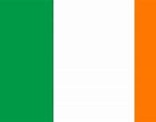 Image result for Irish Flag