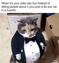 Image result for Fat Cat in Tuxedo Meme