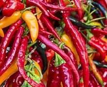 Image result for Love Spicy Food