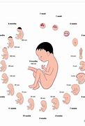 Image result for 2-3 Week Baby