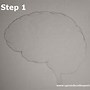 Image result for Brain in Head Drawing